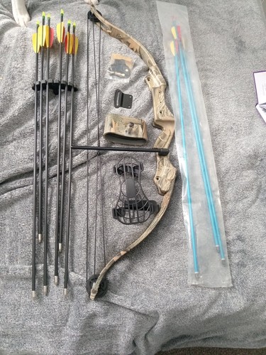 Combound bow and arrows - bow,