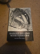 Badger Diggin With Terriers