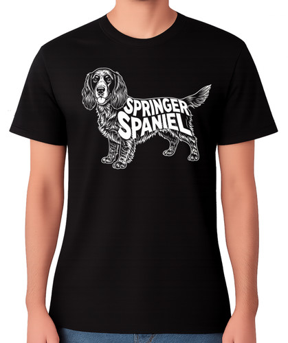 Springer spaniel dog - spaniel,