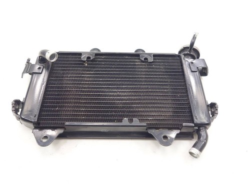 Ktm duke liquid cooler piece - liquid,