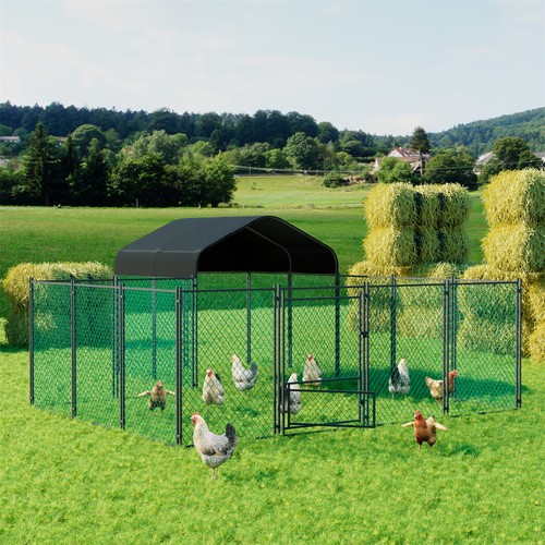 Walk chicken run - walk-in,