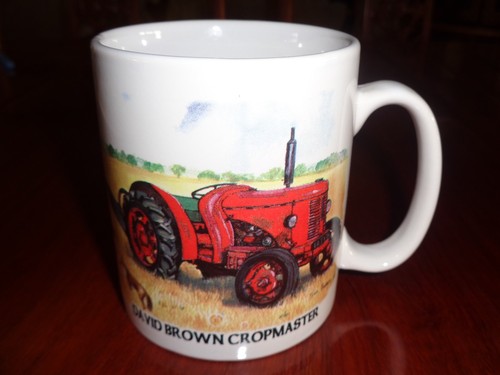 Norfolk china ceramic mug - china,