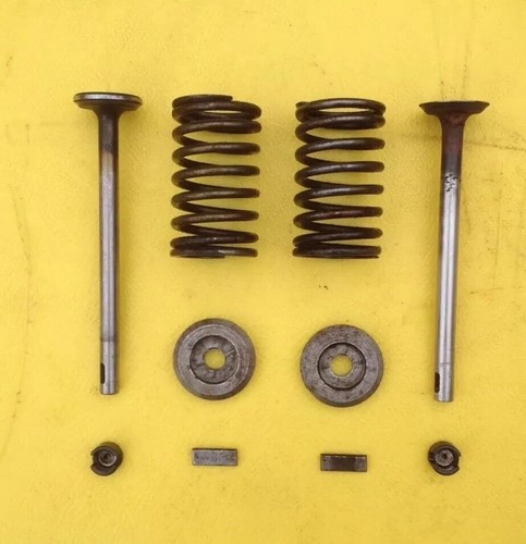 Lister model stationary - d,