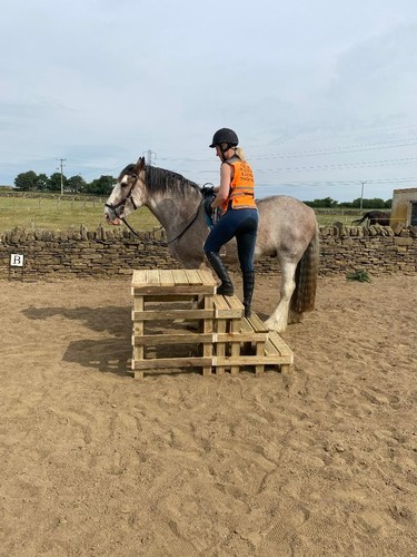Equestrian step mounting - step,
