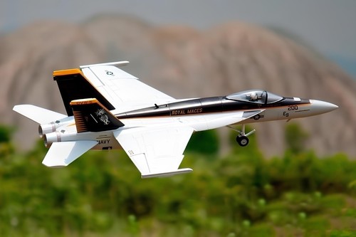 Plane aircraft freewing - rc,