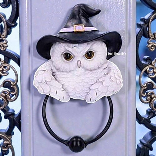 Owl door knocker gothic - knocker,