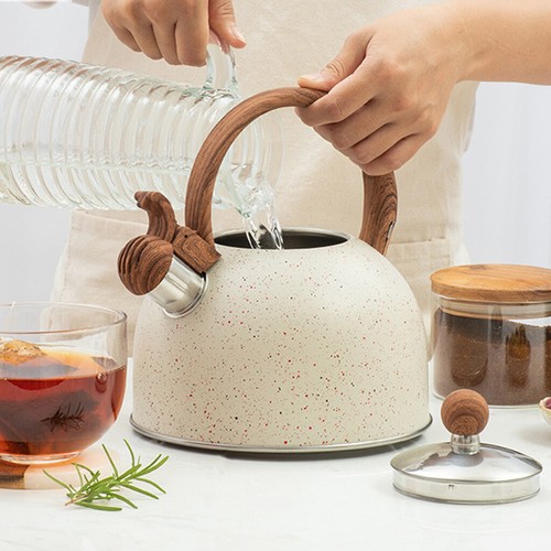 Whistling tea kettle - 2.5l,