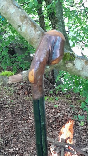 Blackthorn hiking stick - hiking, stick,52