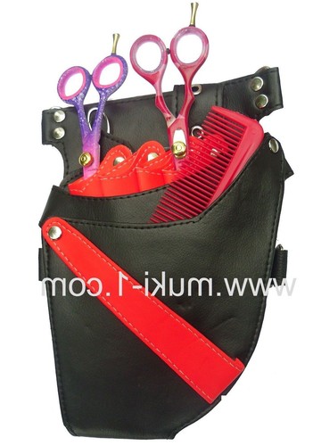 Salon hairdressing scissor - salon,