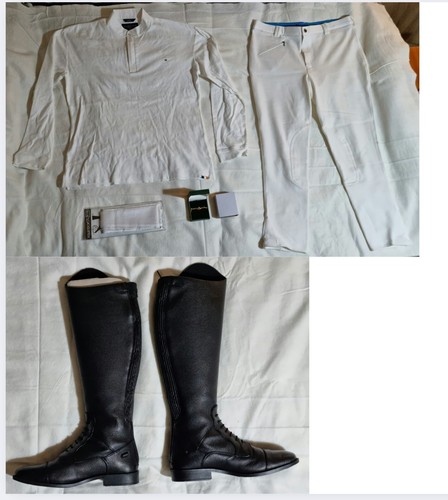 Equestrian horse riding - horse,