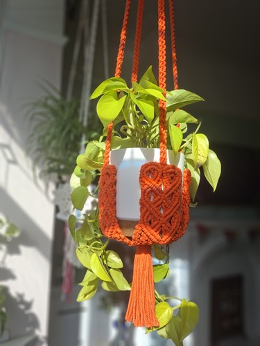 Large 120cm macrame plant - macrame,