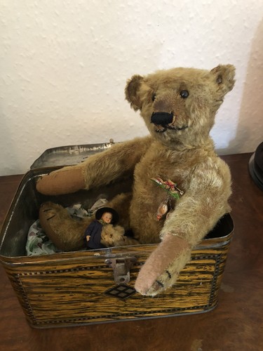 Original steiff mohair - original, bear