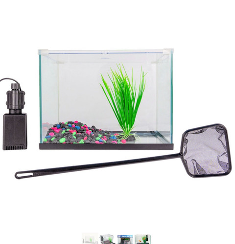 Glass aquarium fish - aquarium,