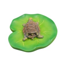 Floating Water Lily Leaf with