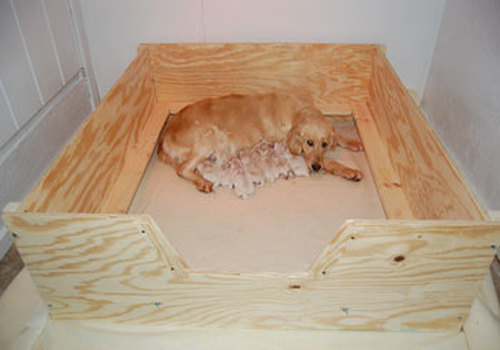Whelping box heavy duty - whelping,