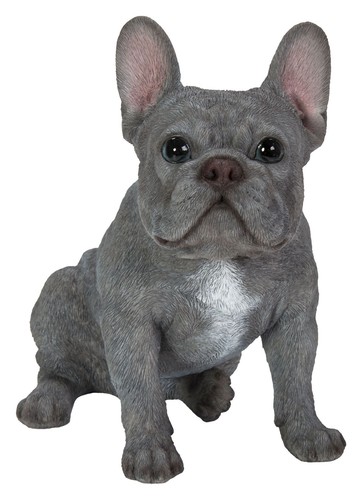 Vivid arts blue french bulldog - arts,