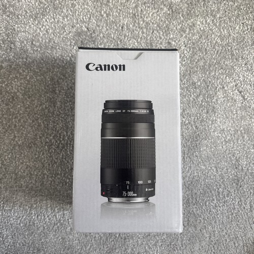 Canon 300mm 5 6 zoom - ef,