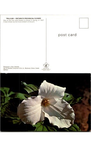 1937 ontario trillium - 1937,
