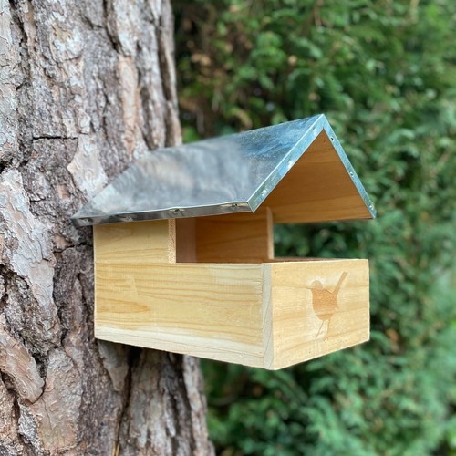 Blackbird wooden nesting box - blackbird,