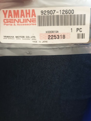 Nos genuine yamaha fjr1300a - yamaha,