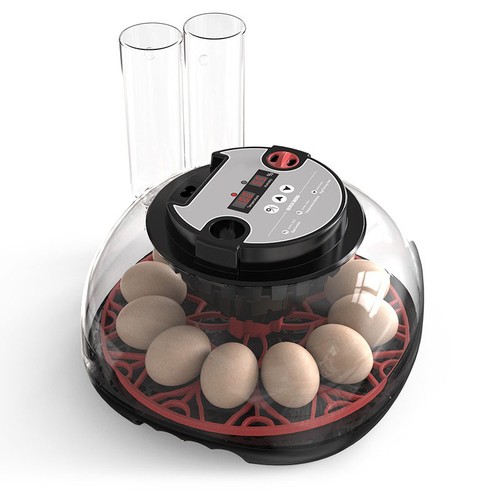 Eggs fully automatic - 12,
