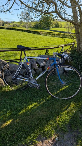 Vintage raleigh cadet bike - raleigh,