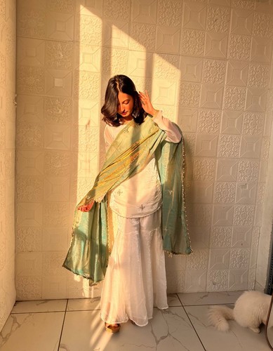 Pakistani dress indian salwar - indian,
