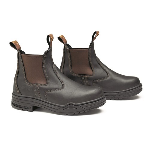 Mountain horse junior - mountain,