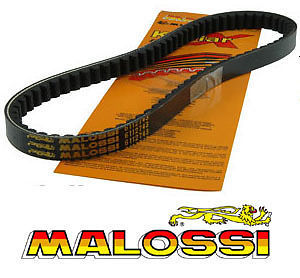 Malossi reinforced buggy - malossi,