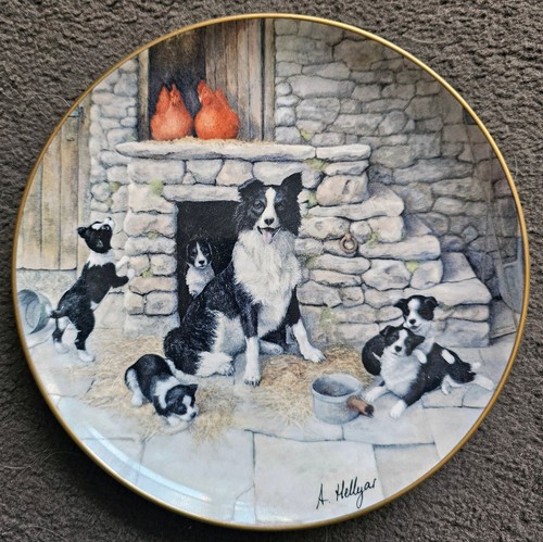 Border fine arts jock - arts, jock’s
