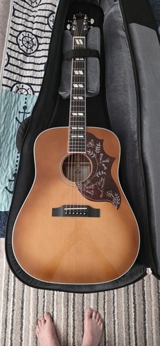 Sigma sig sg5 - sig-dm-sg5, acoustic