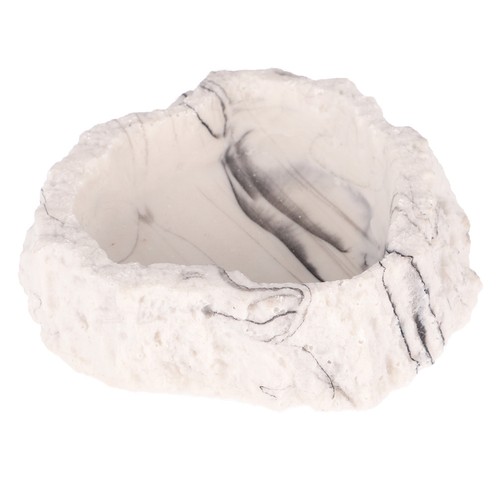 Bearded dragon feeding bowl - dragon,