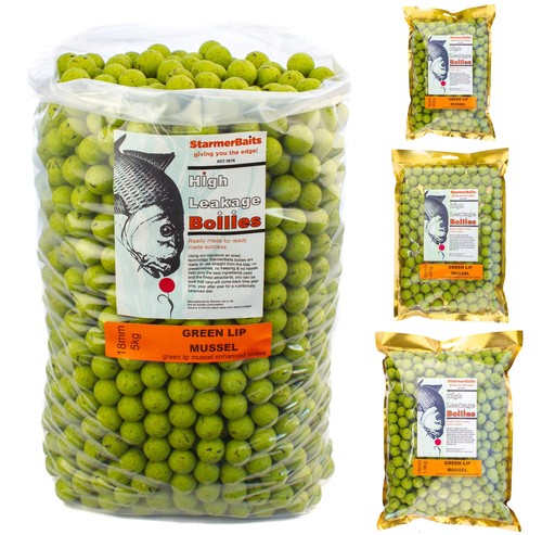 18mm green lip - lip, mussel