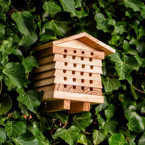 Garden gear wooden bee - wooden,