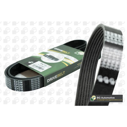 Bga multi ribbed drive belt - bga,