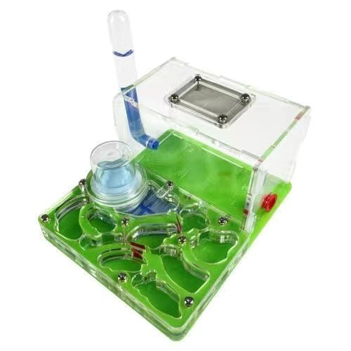 Mini ant farm - farm, with