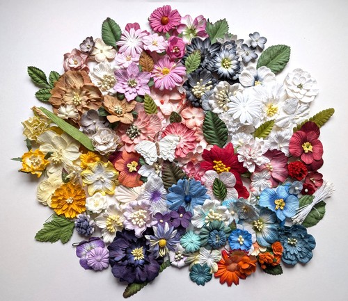 100 mixed coloured mulberry - 100+,