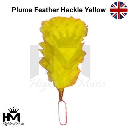 Glengarry cap feather hackle - cap,