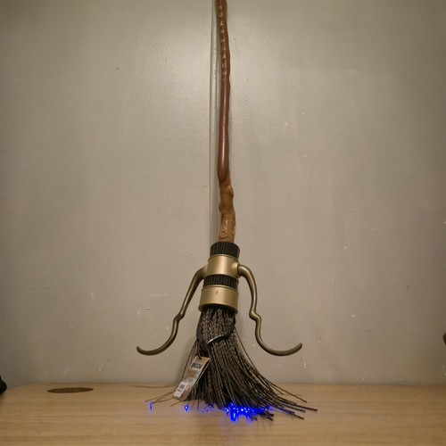 Harry potter quidditch - harry,