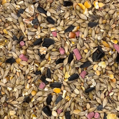 20kg wild bird seed all - bird,