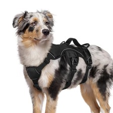 rabbitgoo Dog Harness Full