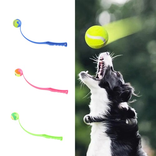 Pet ball launcher - launcher,