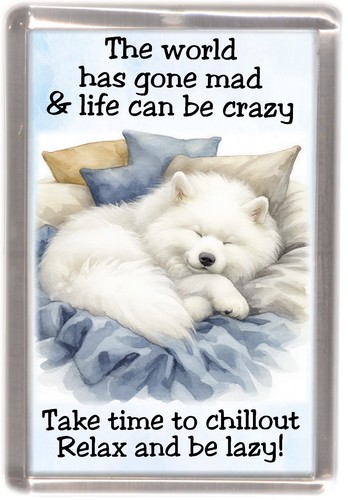 Samoyed dog fridge - dog,