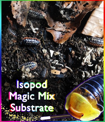 Organic isopod magic mix - isopod,