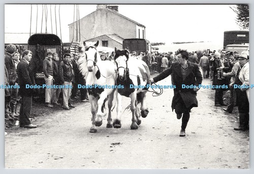 L346127 appleby fair the - fair,