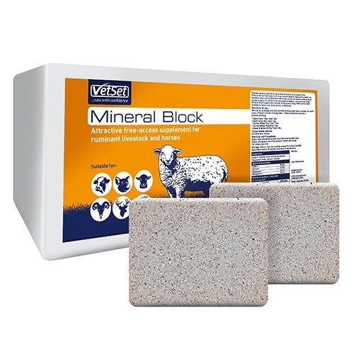 Mineral salt blocks for - blocks,