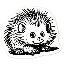 'African Pygmy Hedgehog' Clear