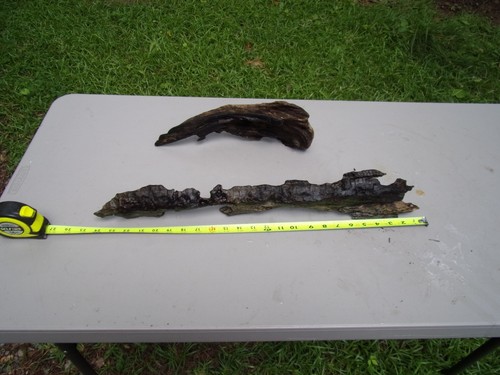 Large driftwood root - large,