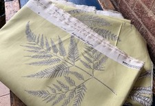 SANDERSON 2009 Woodland Fern