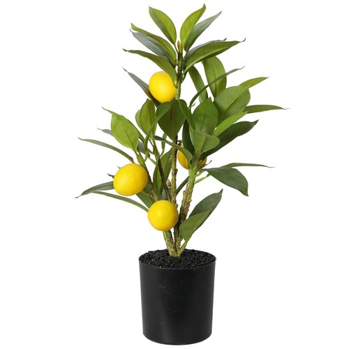 Artificial citrus lemon citron - artificial,